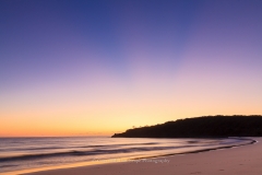Headland Rays