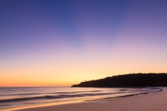 Headland Rays