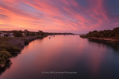 River Of Pink