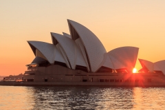 Sydney Icon