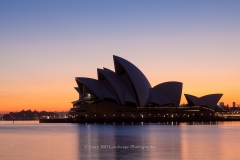 Opera House Dawn