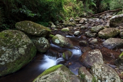 Picnic Rock Cascades