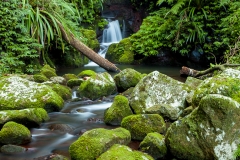 Peaceful Burraboomba