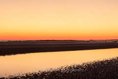 Orange Dawn