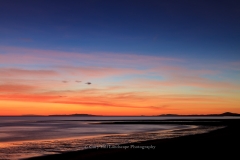 Glorious Dawn