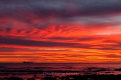 Shipping Sunrise