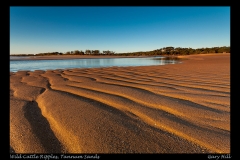 GH5D_21966